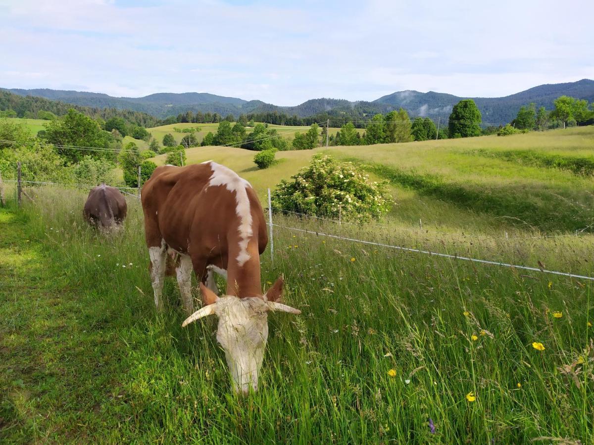 Tourist Farm Strle With Great Local Food Vila Cerknica Exterior foto