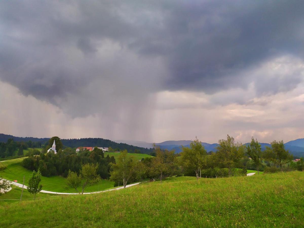 Tourist Farm Strle With Great Local Food Vila Cerknica Exterior foto
