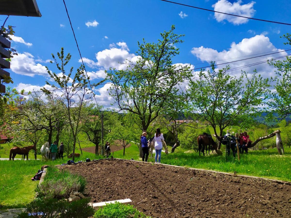 Tourist Farm Strle With Great Local Food Vila Cerknica Exterior foto