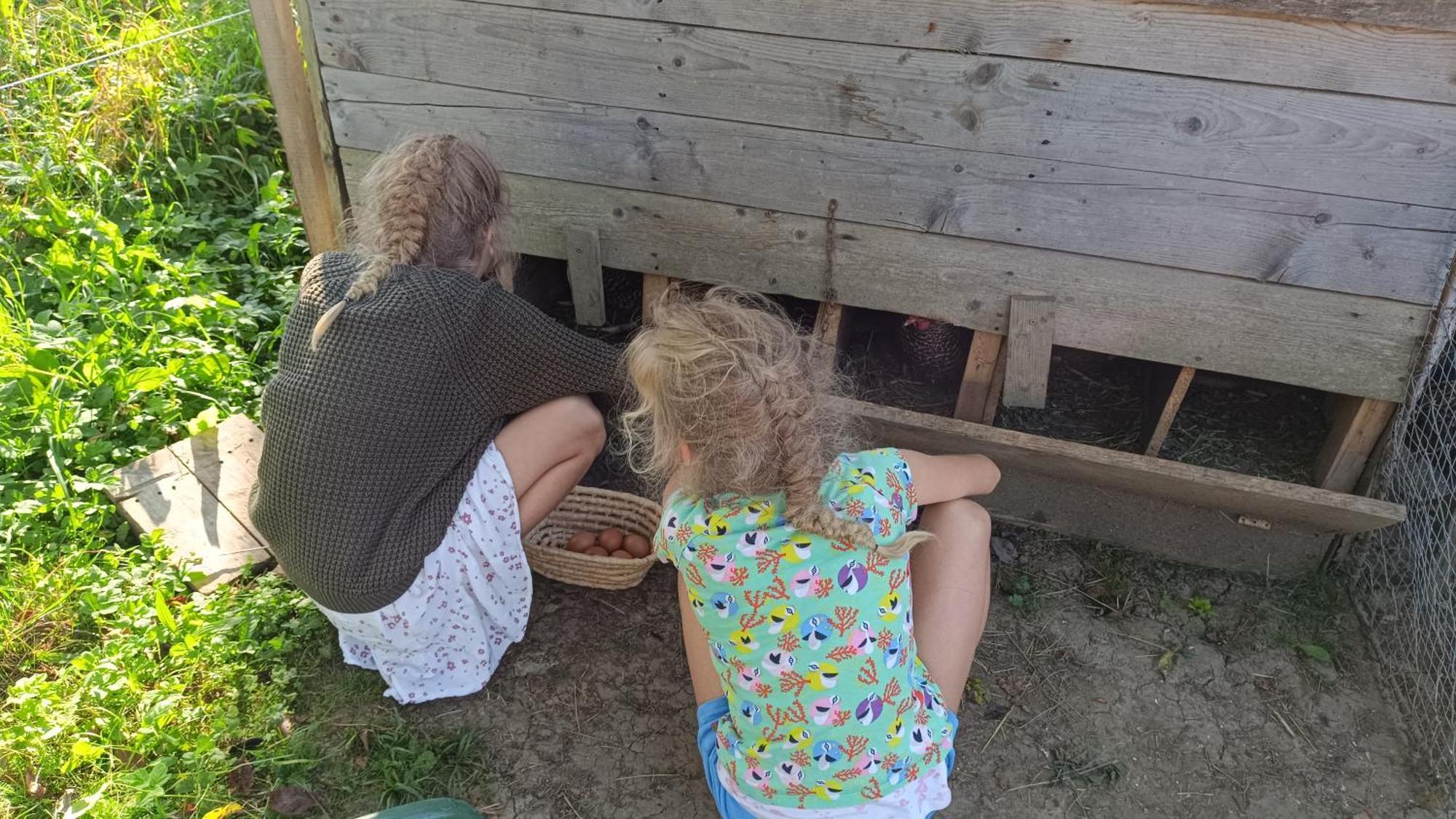 Tourist Farm Strle With Great Local Food Vila Cerknica Exterior foto