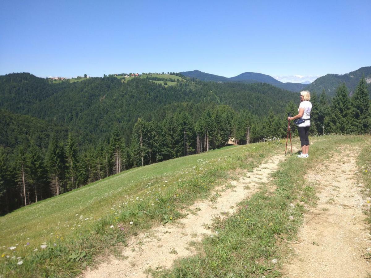 Tourist Farm Strle With Great Local Food Vila Cerknica Exterior foto