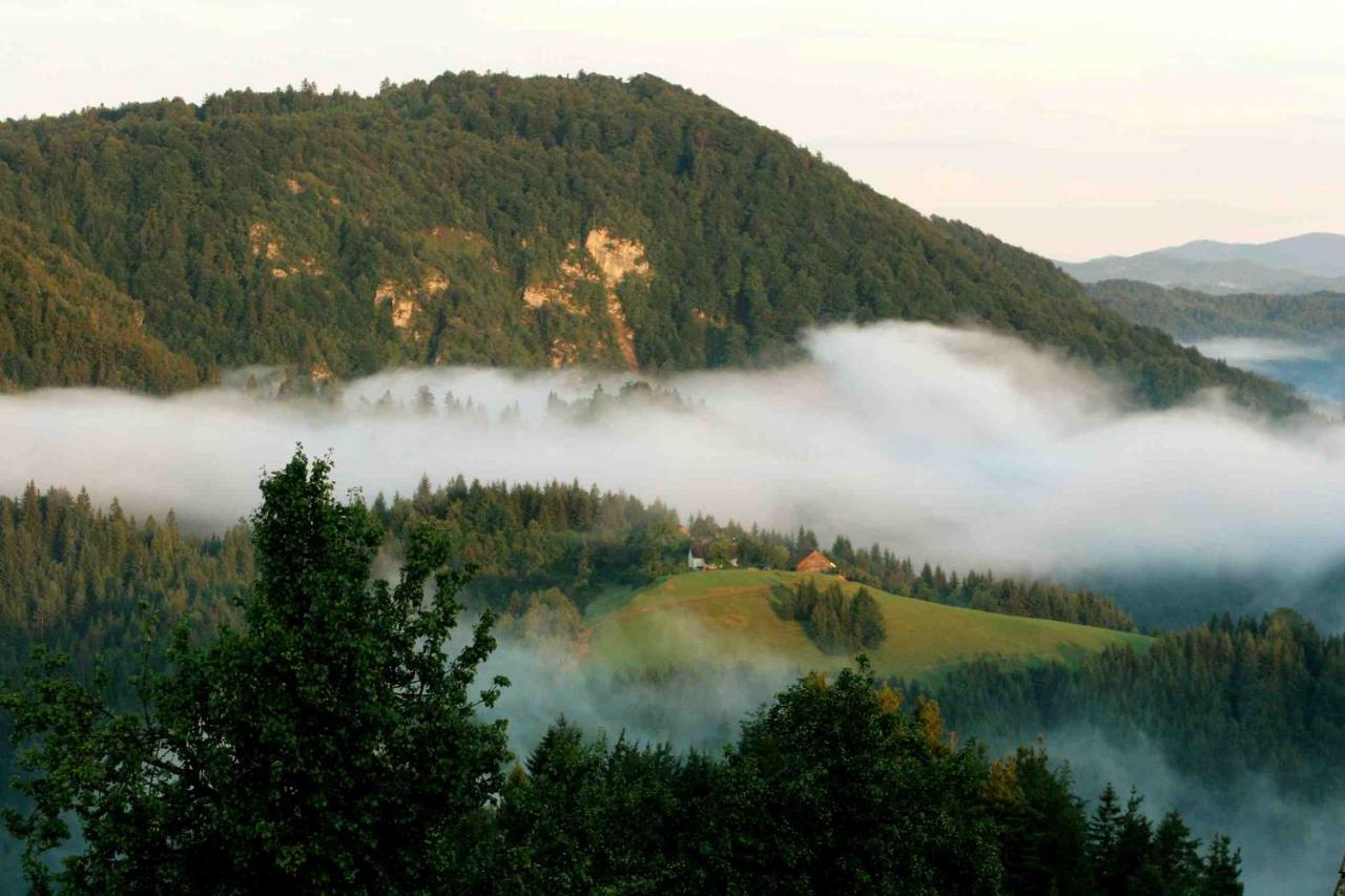 Tourist Farm Strle With Great Local Food Vila Cerknica Exterior foto