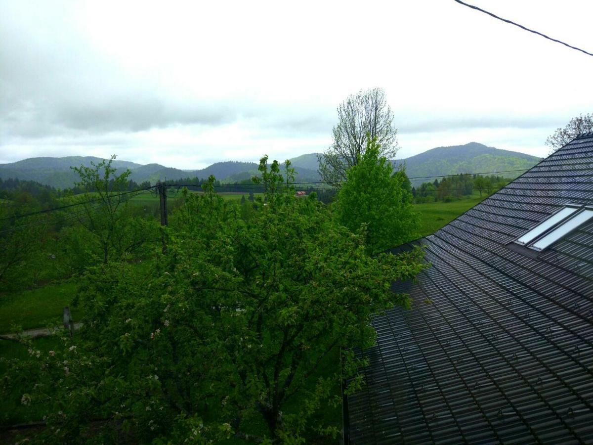 Tourist Farm Strle With Great Local Food Vila Cerknica Exterior foto