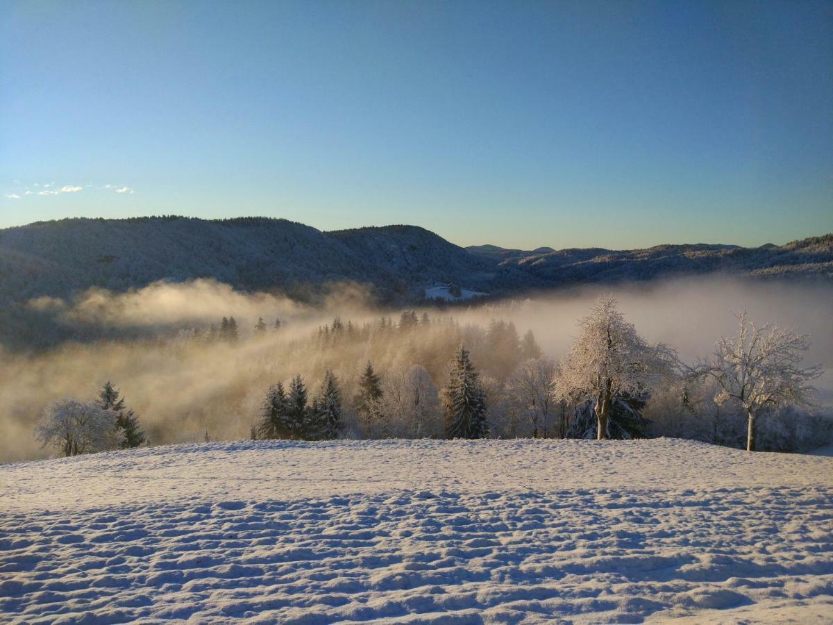 Tourist Farm Strle With Great Local Food Vila Cerknica Exterior foto