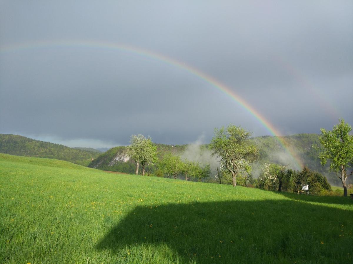 Tourist Farm Strle With Great Local Food Vila Cerknica Exterior foto