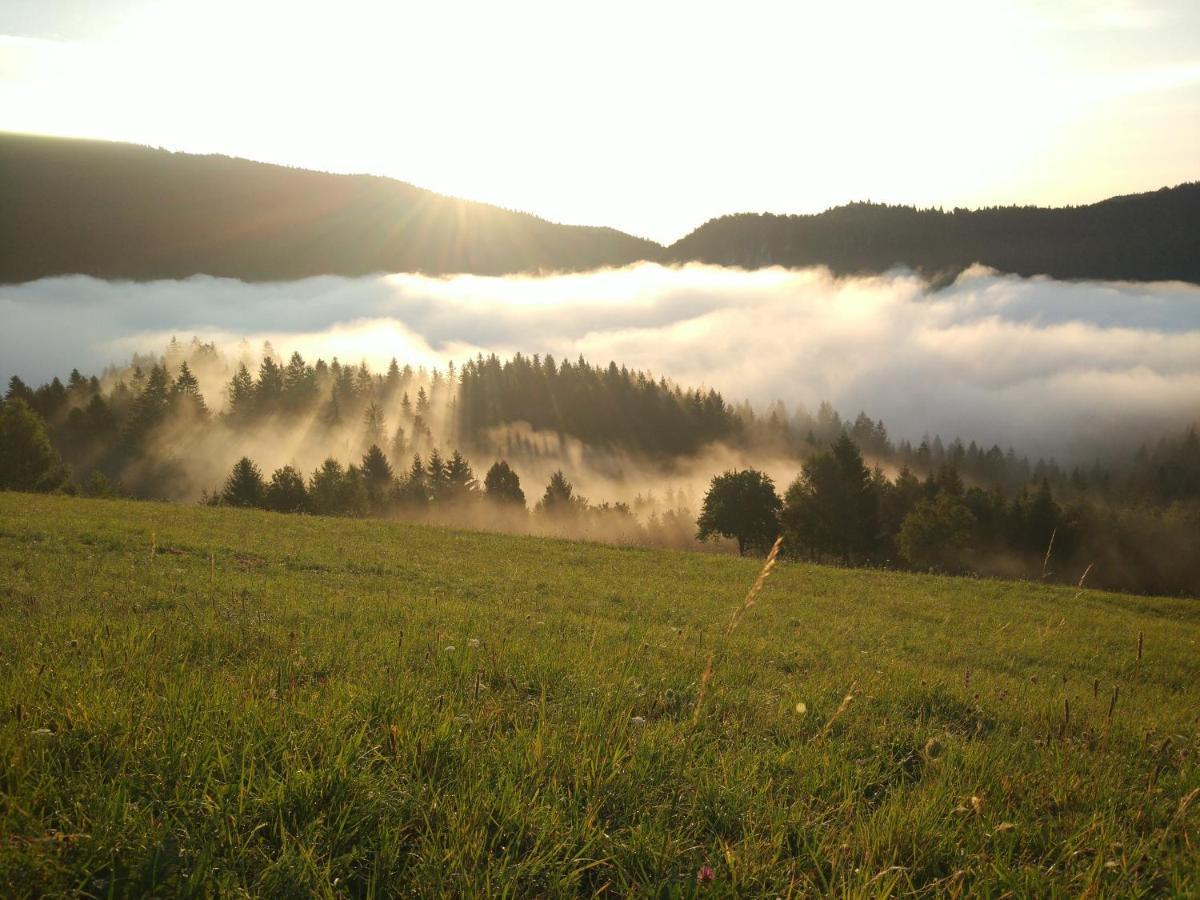 Tourist Farm Strle With Great Local Food Vila Cerknica Exterior foto